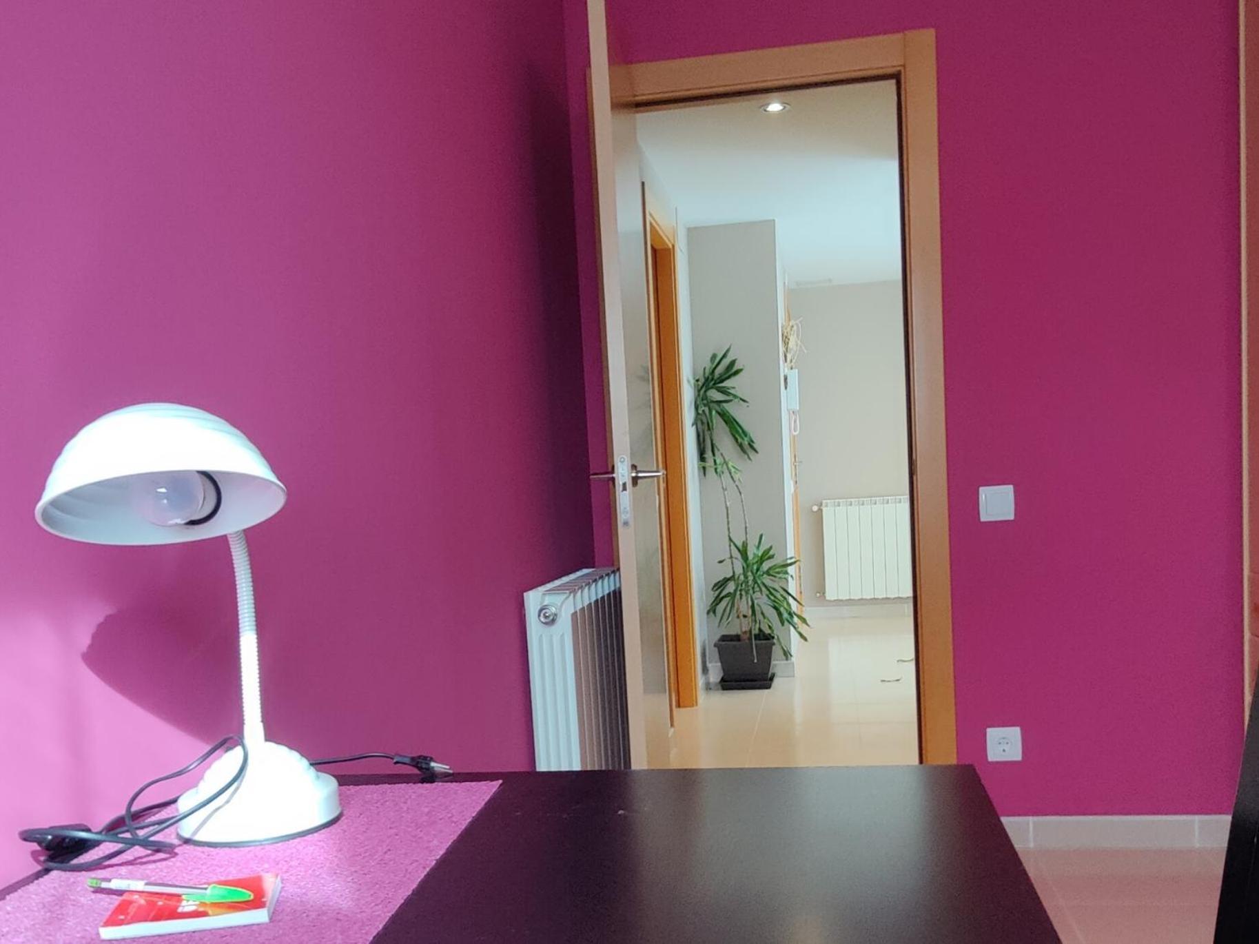 Apartamento Ca L'Esmolet Tremp Exterior foto